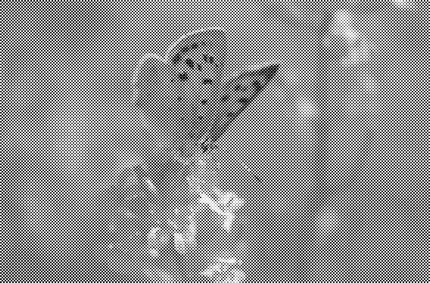 DOT Painting Dieren - Katten en Vogels