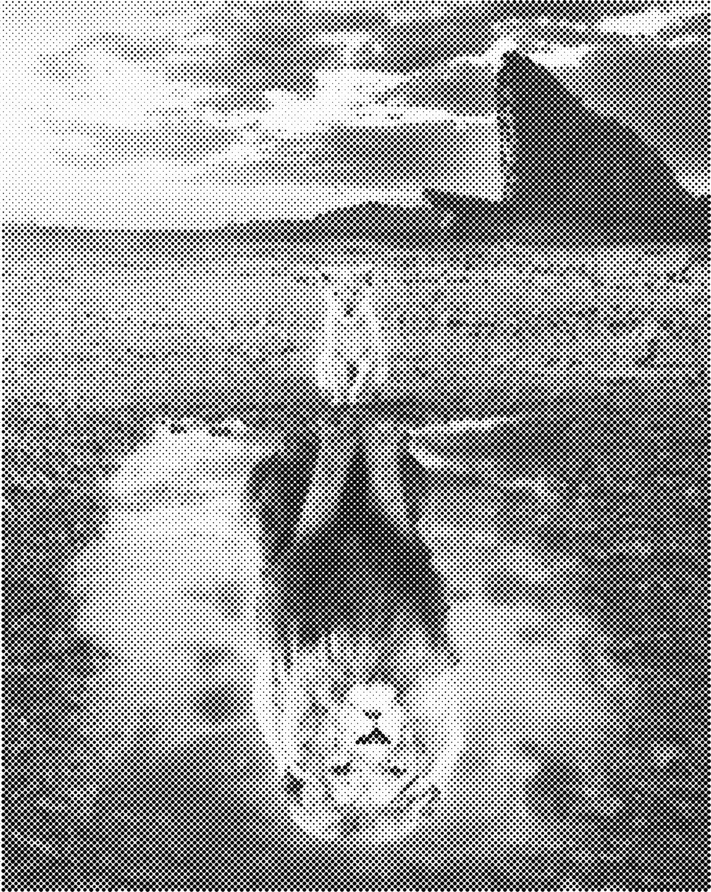 DOT Painting Dieren - Grappige Dieren - 40x50cm of 60x75cm