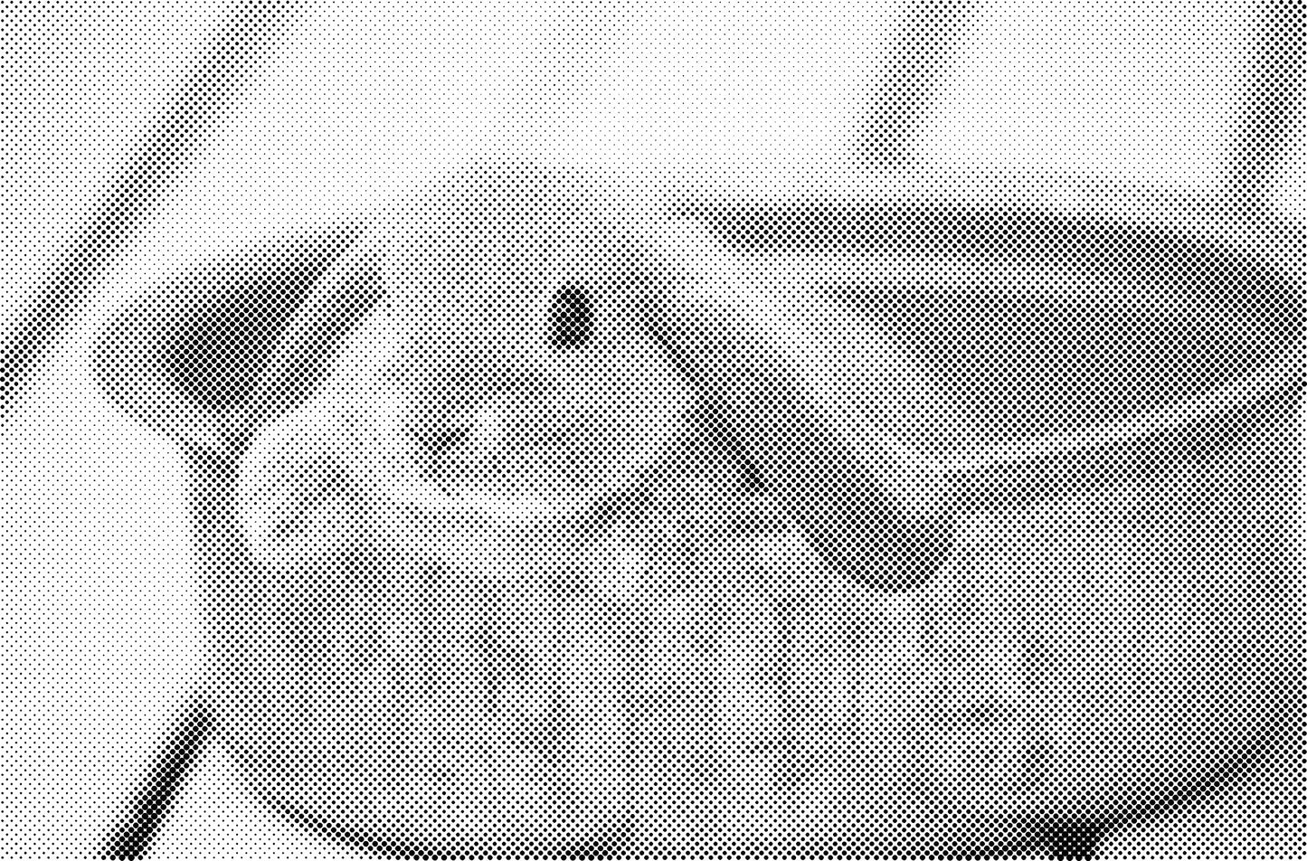 DOT Painting Dieren - Konijnen, Puppies en Katten - Verkrijgbaar in 40x60cm, 50x75cm en 60x90cm