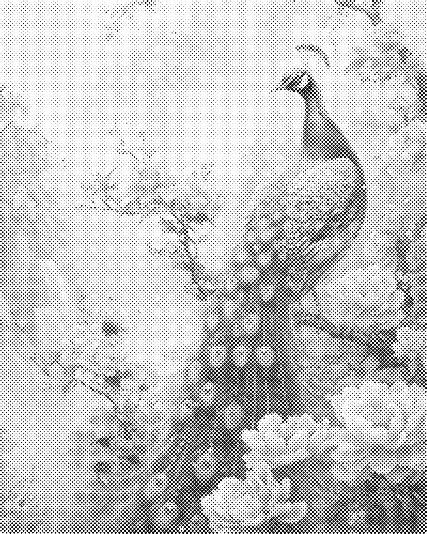 DOT Painting – Dieren op Canvas (40x50cm of 60x75cm) – Met of zonder stiften