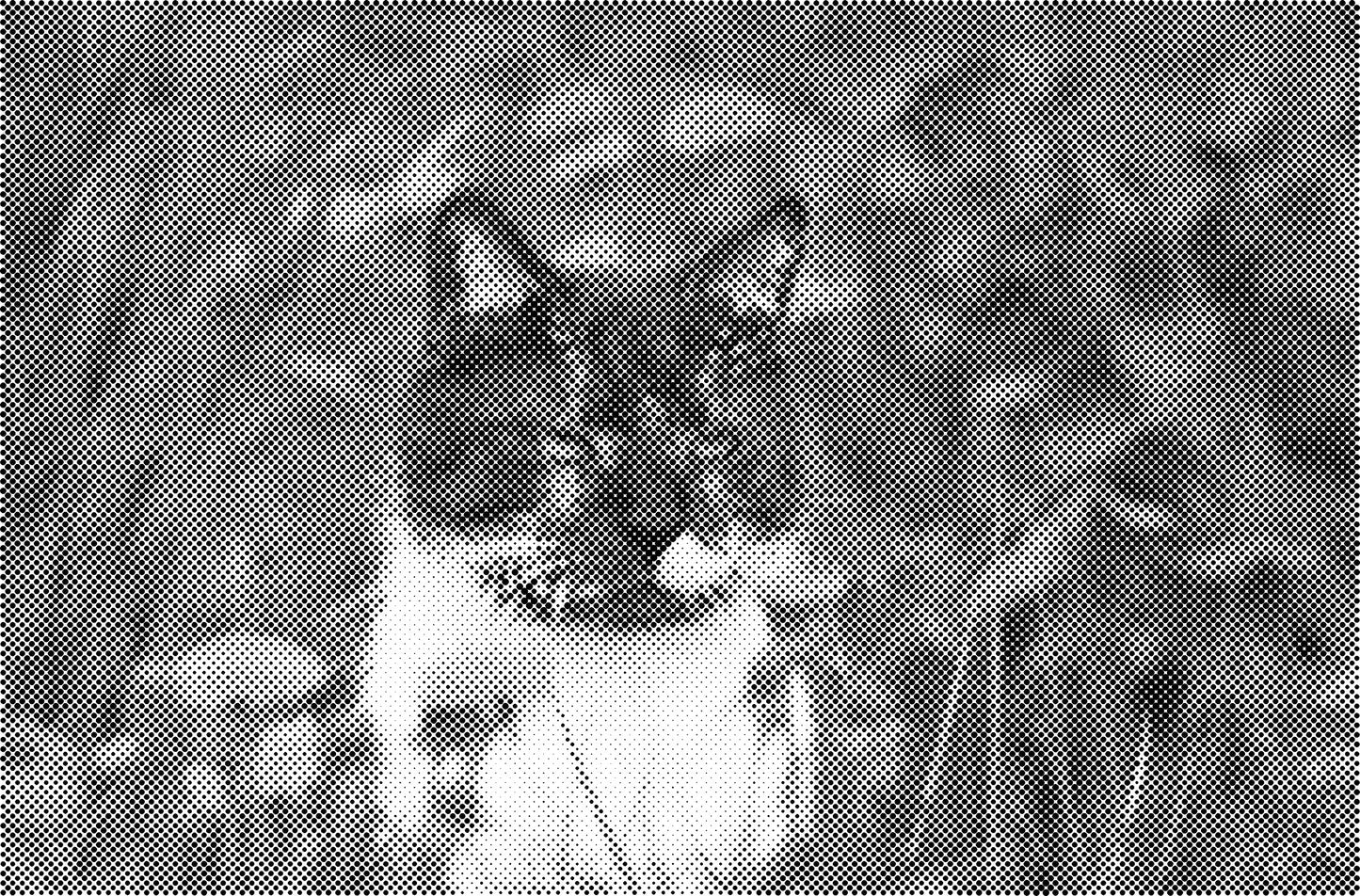 DOT Painting Katten - Verkrijgbaar in 40x60cm, 50x75cm en 60x90cm