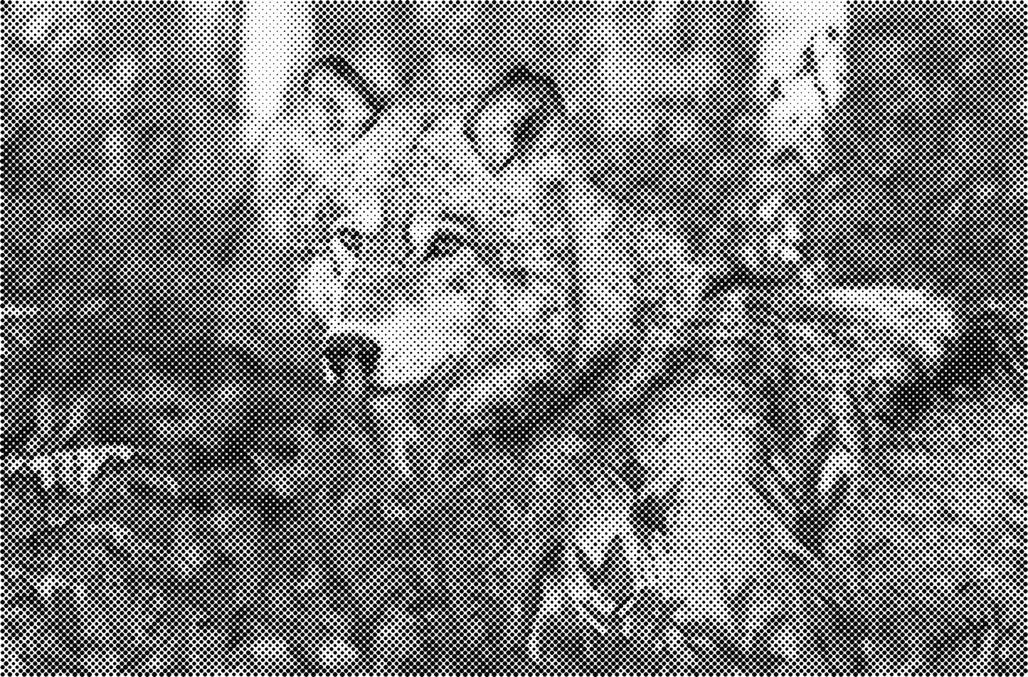 DOT Painting - Wolven en Honden