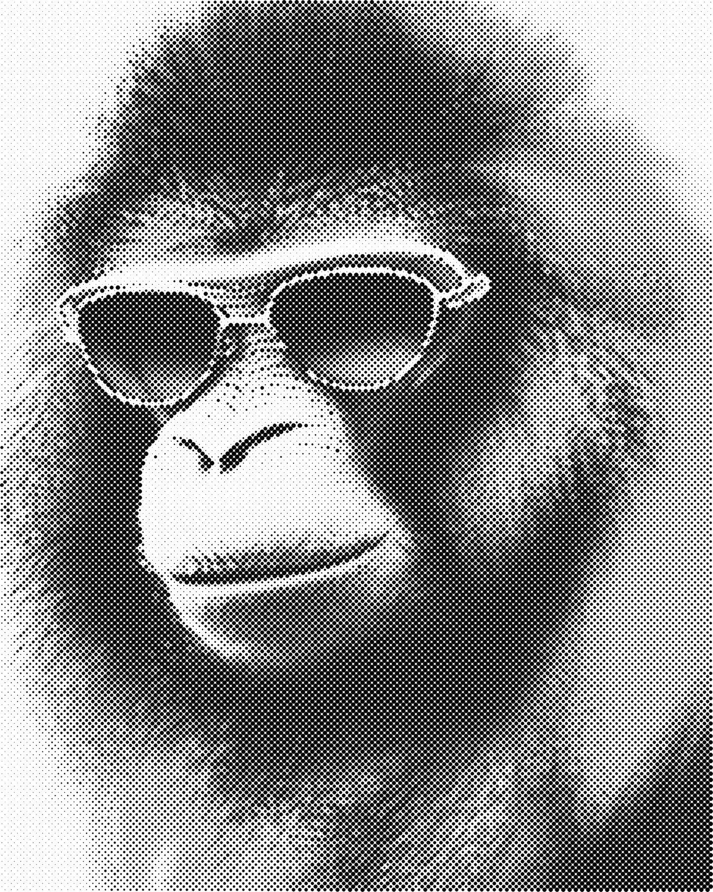 DOT Painting - Dieren op Canvas (40x50cm / 60x75cm)