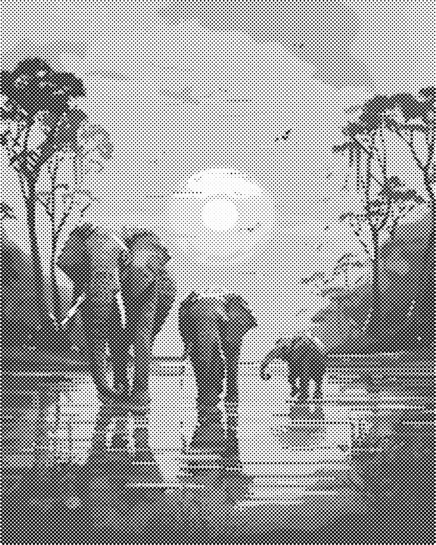 DOT Painting 40x50cm - Olifanten Design