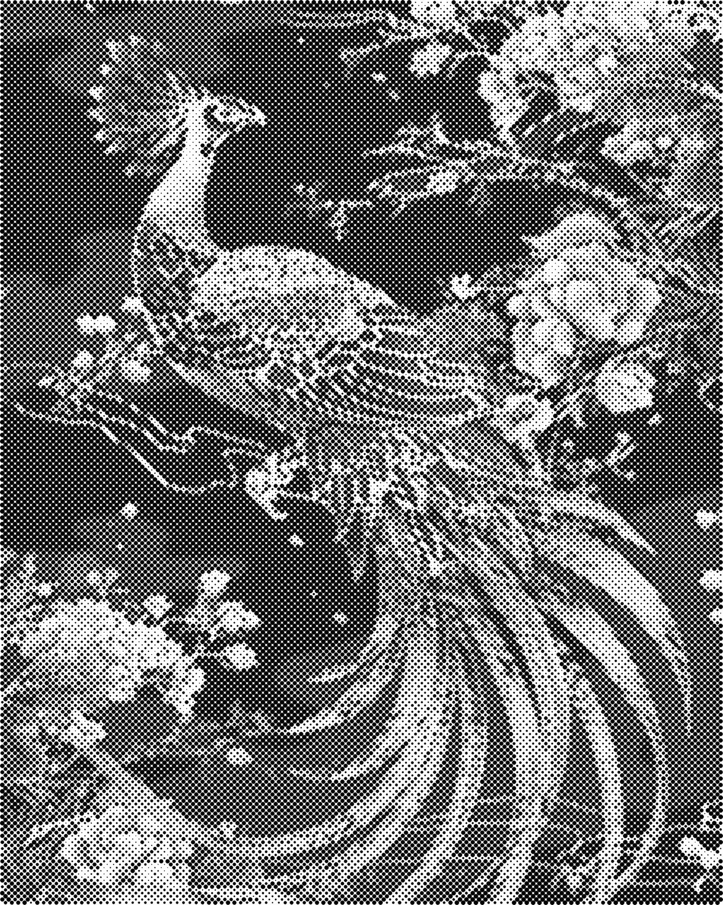 DOT Painting – Dieren op Canvas (40x50cm of 60x75cm) – Met of zonder stiften