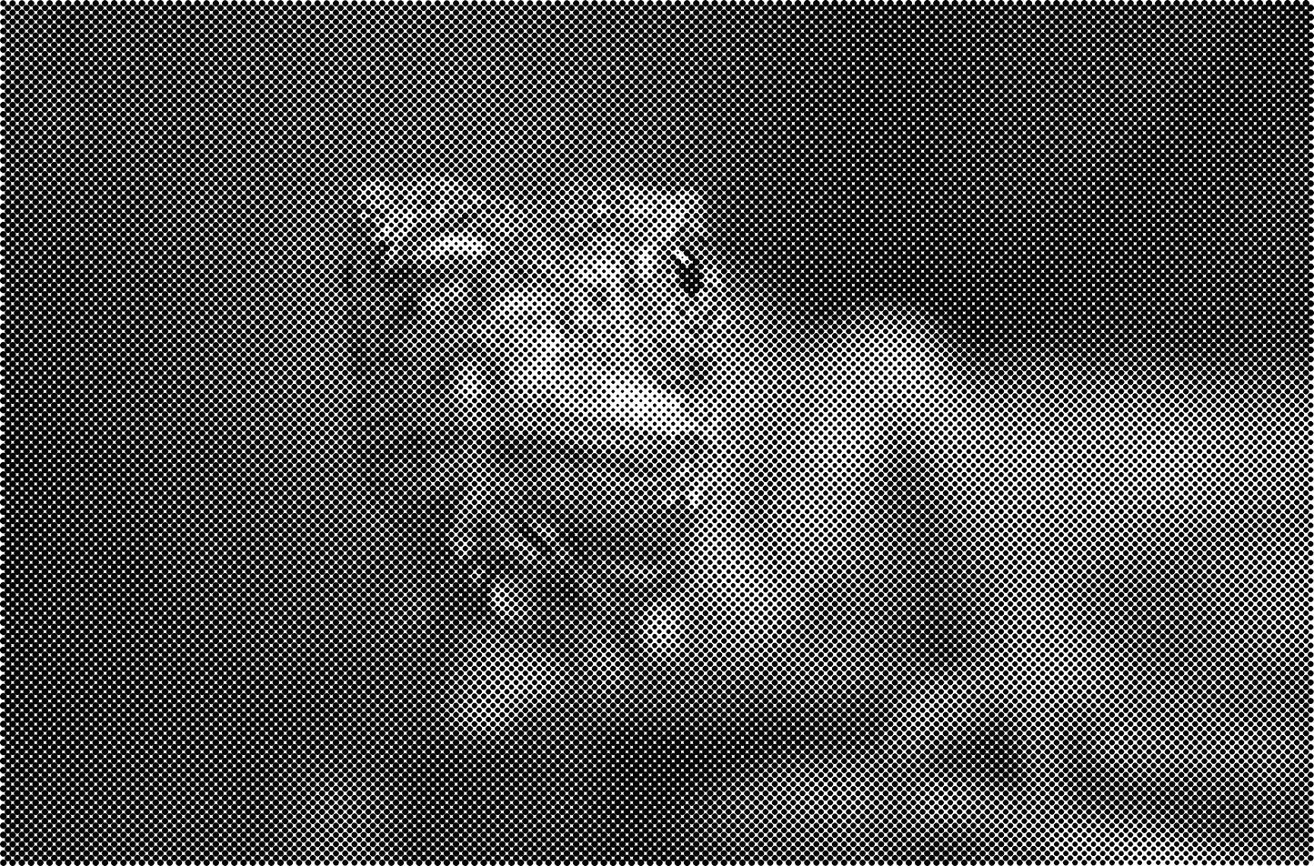 DOT Painting Big Cats - Leeuw, Tijger en Luipaard