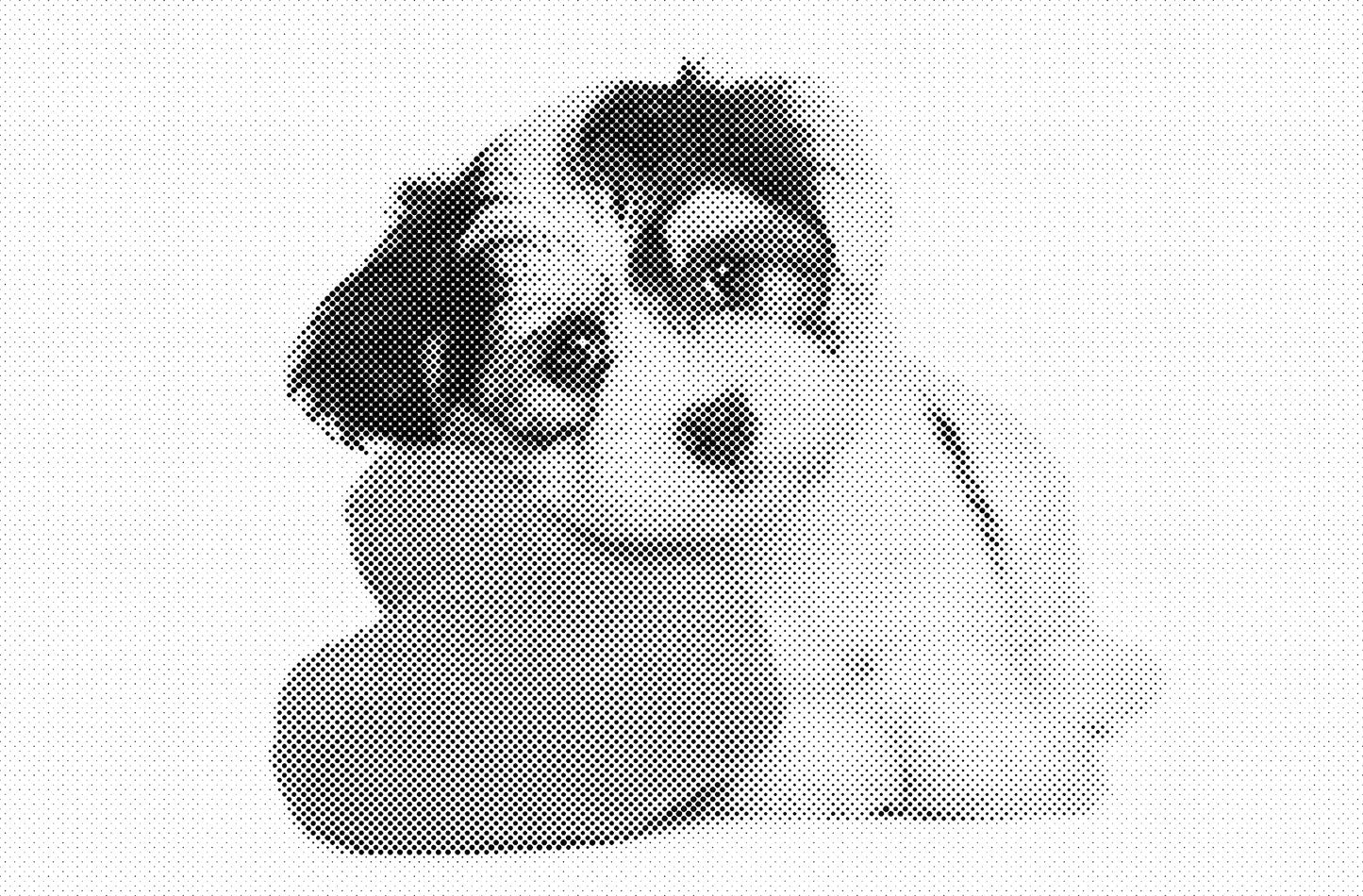 DOT Painting Honden, Eenden en Vogels - Verkrijgbaar in 40x60cm, 50x75cm, en 60x90cm