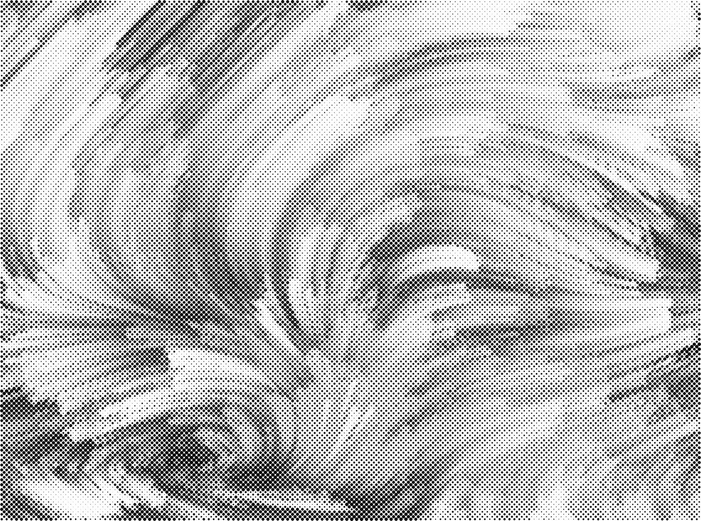 DOT Painting Abstract en Aap Noot Mies - Keuze uit 30x40cm, 45x60cm of 60x80cm