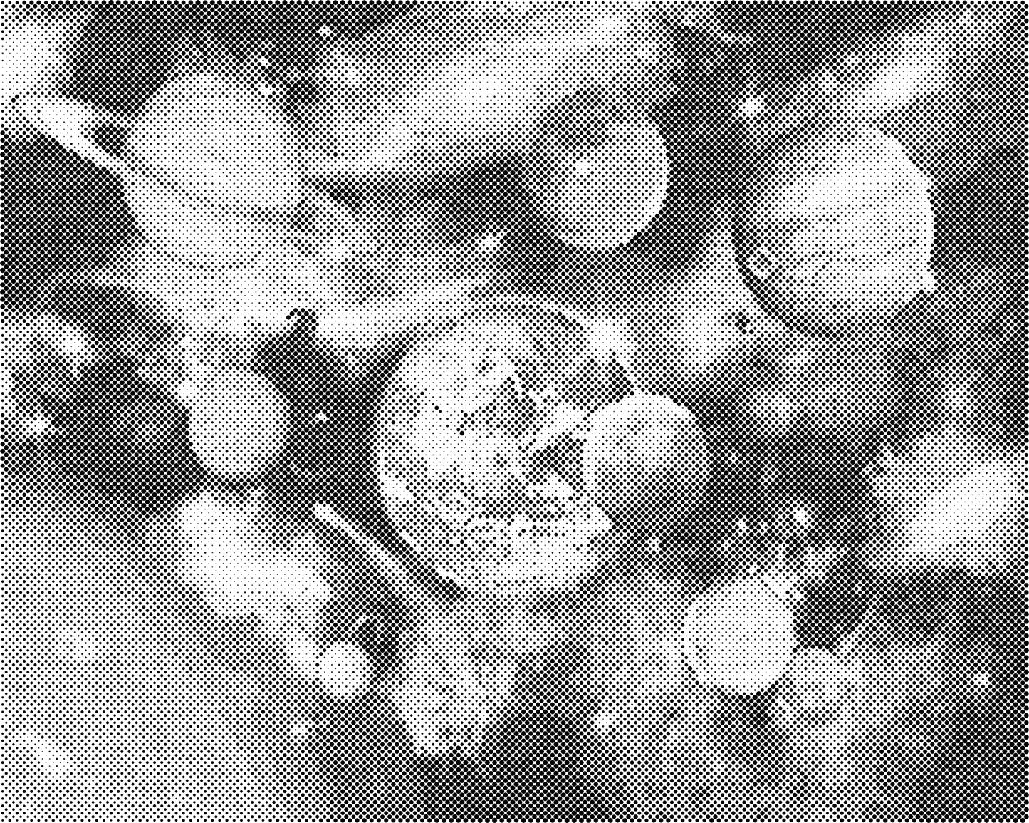 DOT Painting op canvas – Een Kleur Stippen Schilderij 40x50cm of 60x75cm - WD-l0213