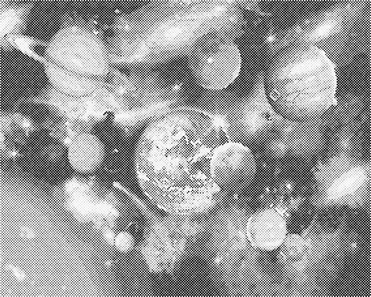 DOT Painting op canvas – Een Kleur Stippen Schilderij 40x50cm of 60x75cm - WD-l0213