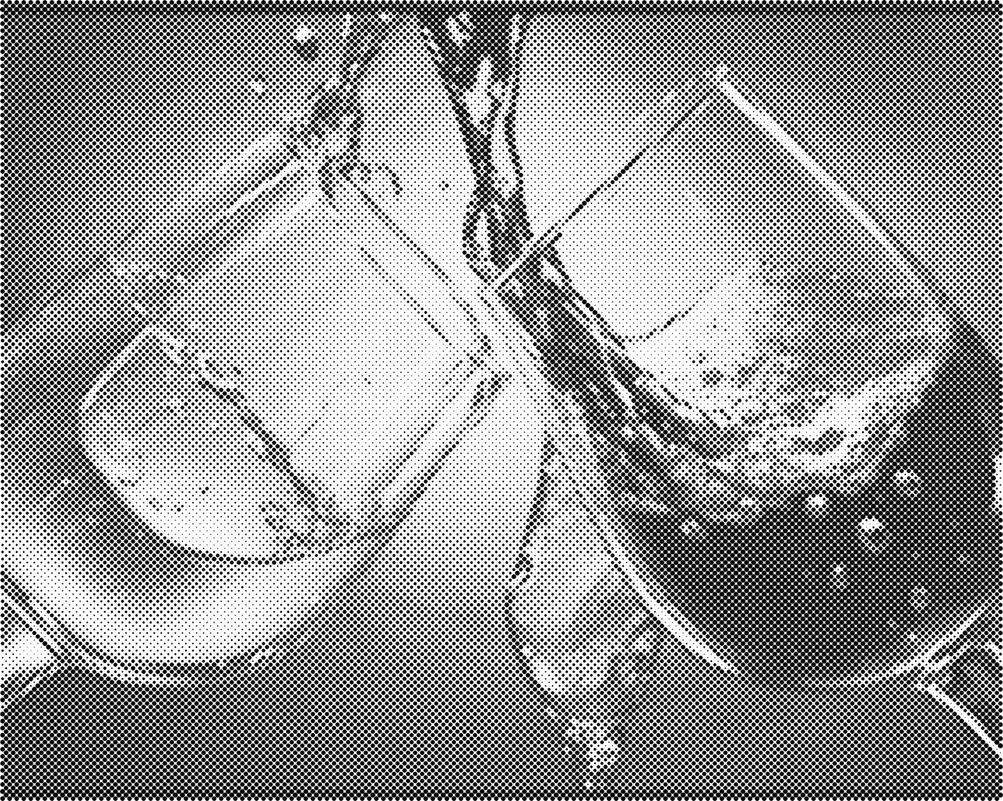 DOT Painting Landschappen - Voorbedrukt Canvas (40x50 cm of 60x75 cm)