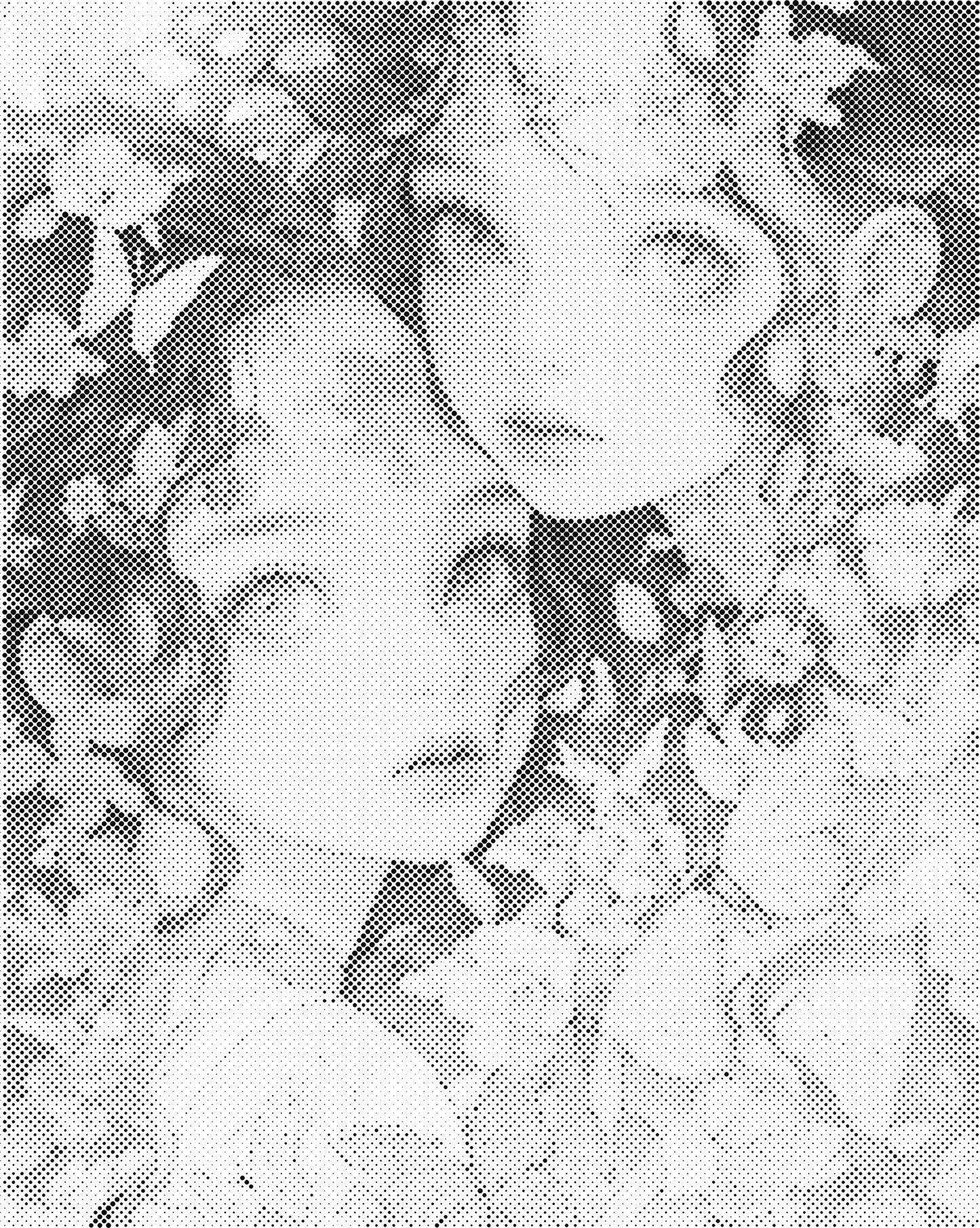 DOT Painting – Vrouwen | 40x50cm of 60x75cm