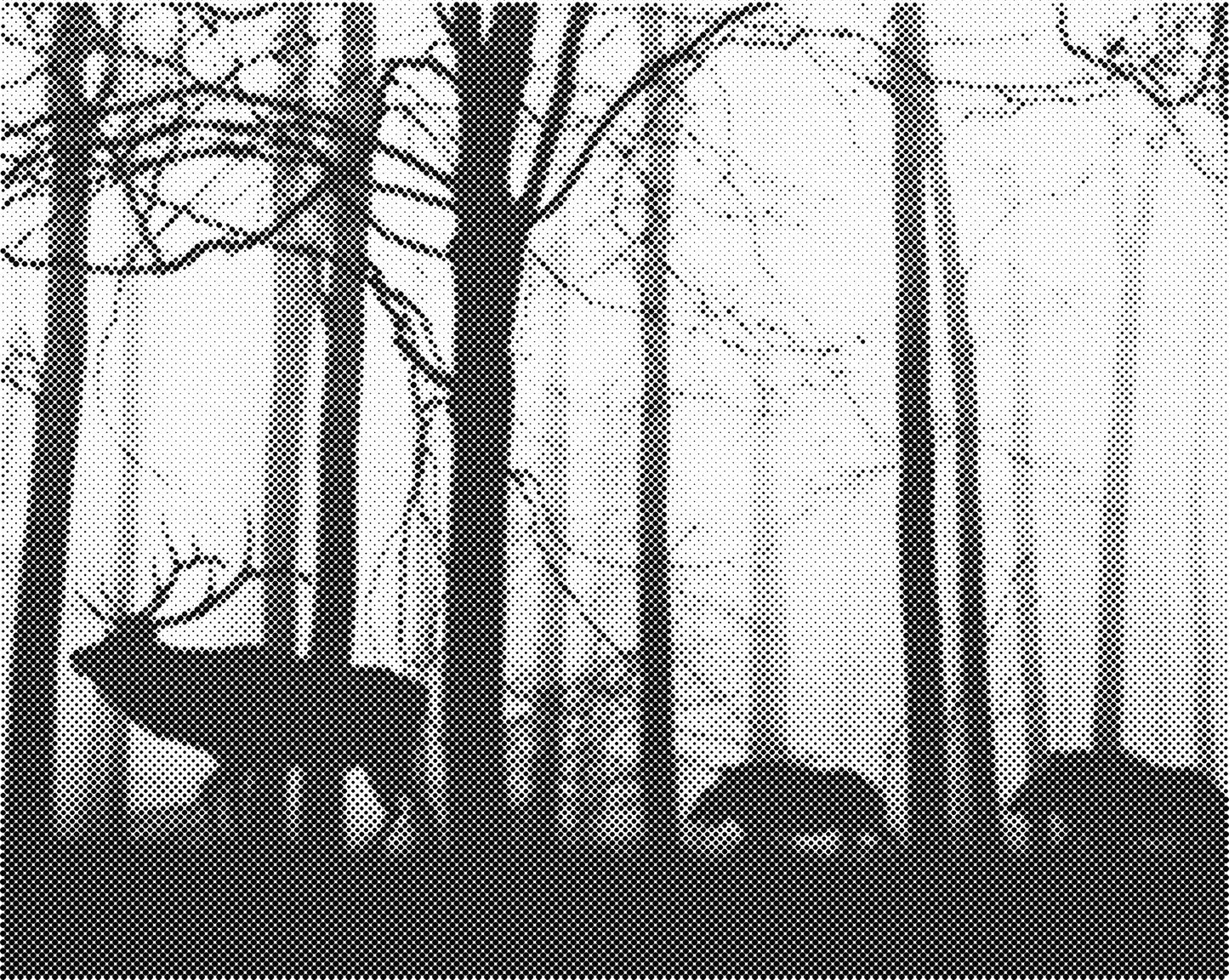 DOT Painting Landschappen - Voorbedrukt Canvas (40x50 cm of 60x75 cm)