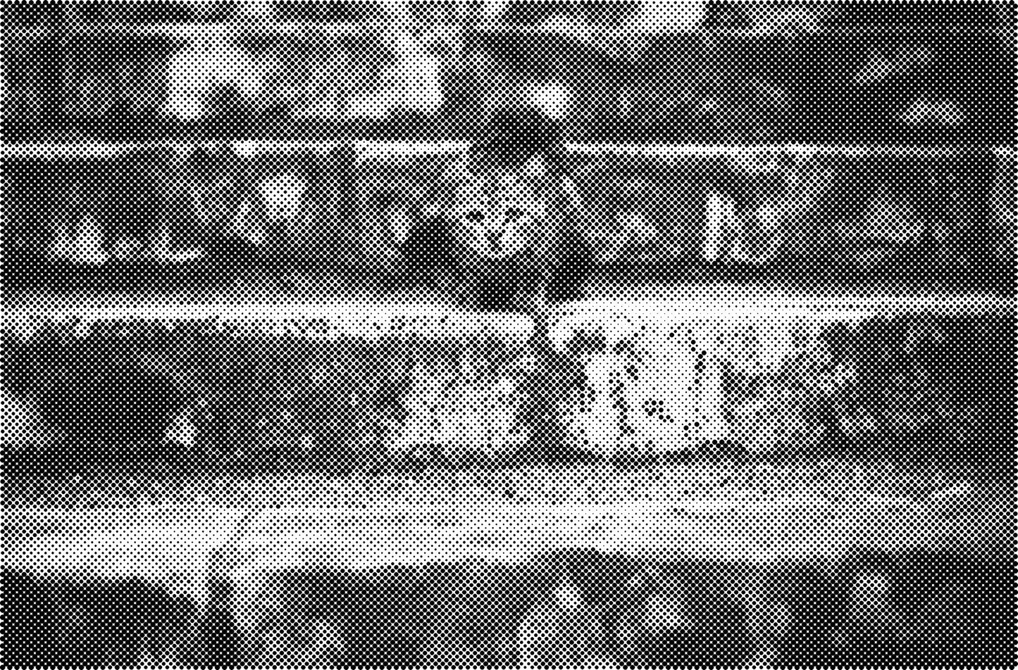 DOT Painting Katten - Verkrijgbaar in 40x60cm, 50x75cm en 60x90cm