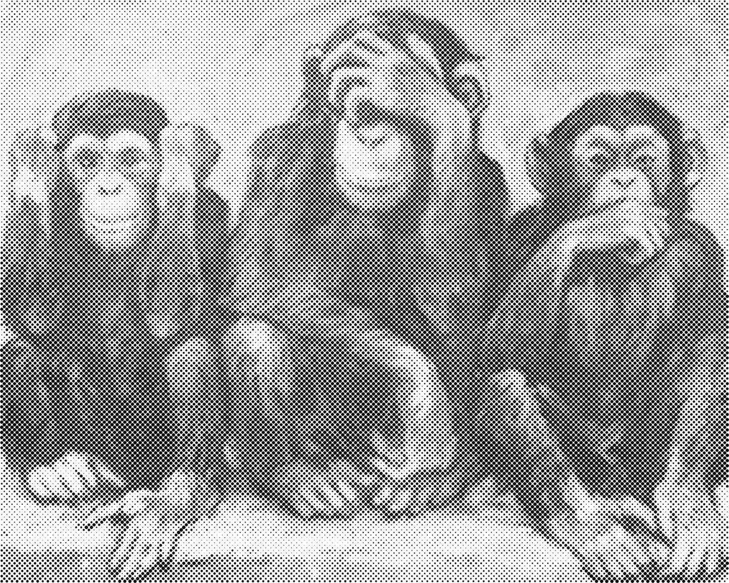 DOT Painting Dieren - Grappige Dieren - 40x50cm of 60x75cm