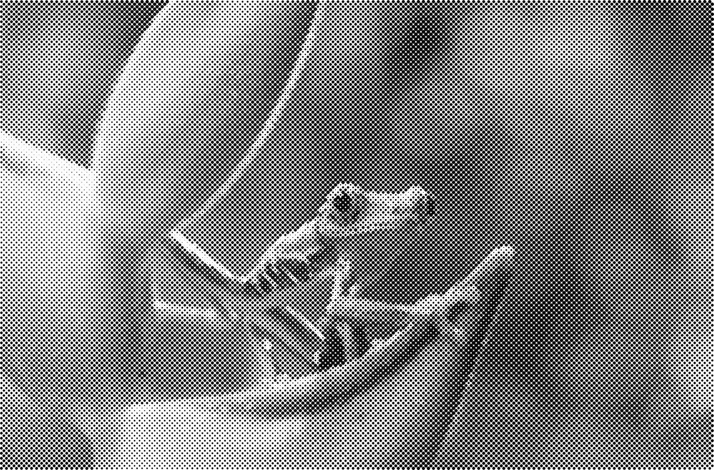 DOT Painting Dieren - (Paarden, Giraf, Vogels) - Verkrijgbaar in 40x60cm, 50x75cm, 60x90cm