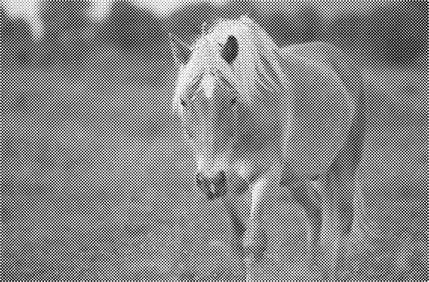 DOT Painting Dieren - (Paarden, Giraf, Vogels) - Verkrijgbaar in 40x60cm, 50x75cm, 60x90cm