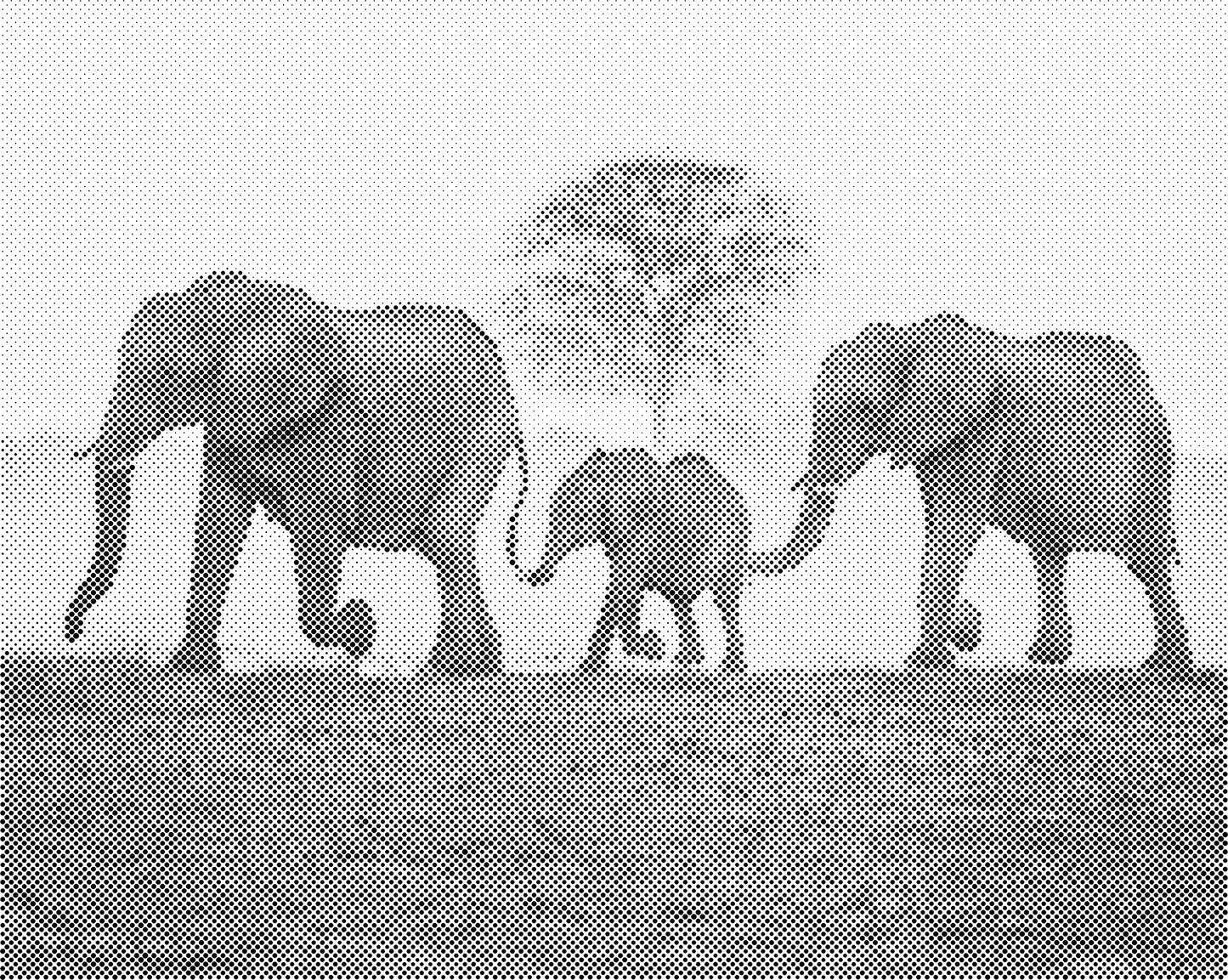 DOT Painting 40x50cm - Olifanten Design