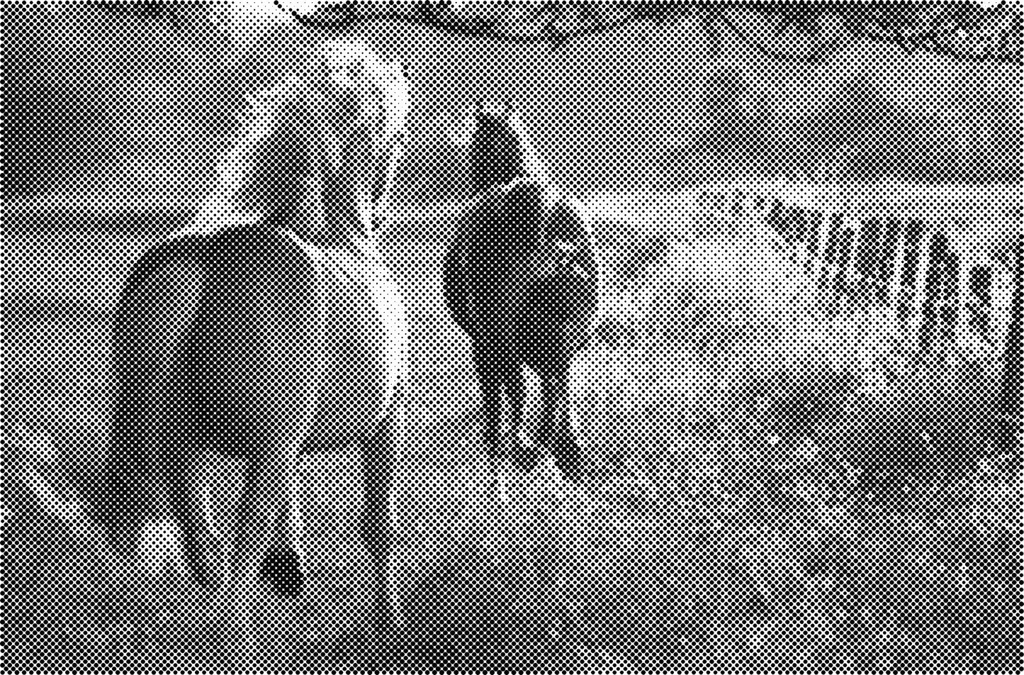 DOT Painting Dieren - (Paarden, Giraf, Vogels) - Verkrijgbaar in 40x60cm, 50x75cm, 60x90cm