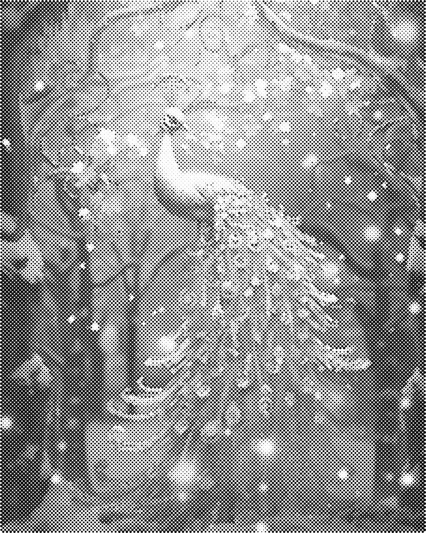 DOT Painting – Dieren op Canvas (40x50cm of 60x75cm) – Met of zonder stiften