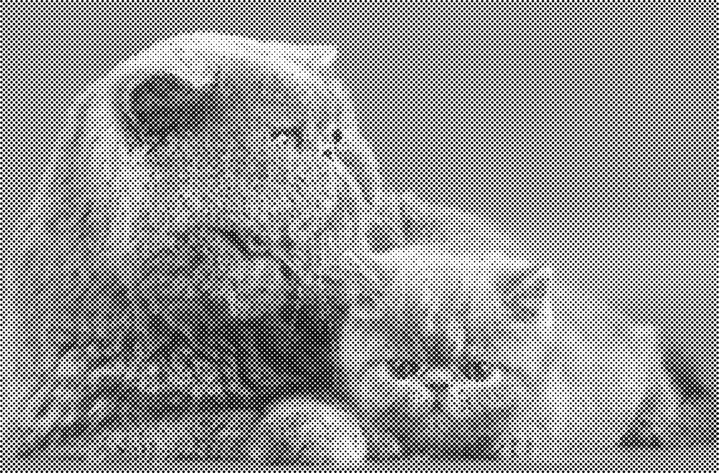 DOT Painting Kattenrassen