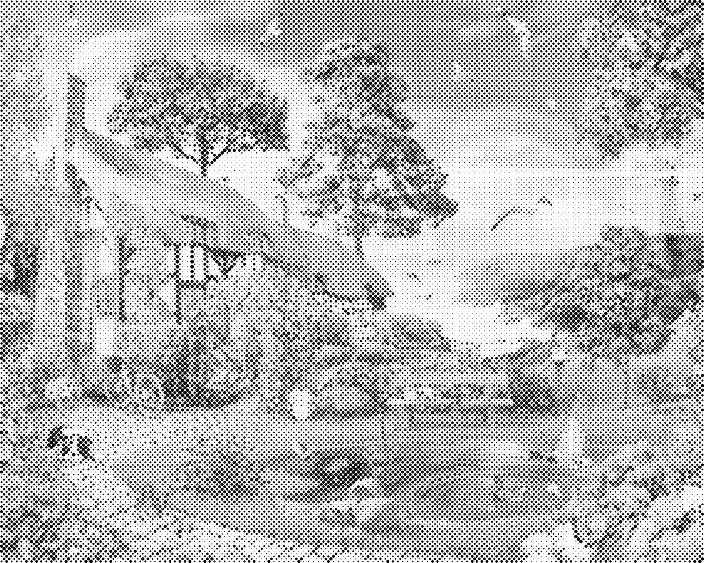 DOT Painting Landschappen - Voorbedrukt Canvas (40x50 cm of 60x75 cm)