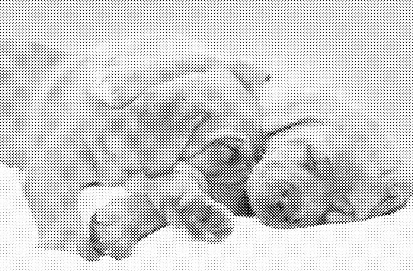 DOT Painting Honden, Eenden en Vogels - Verkrijgbaar in 40x60cm, 50x75cm, en 60x90cm