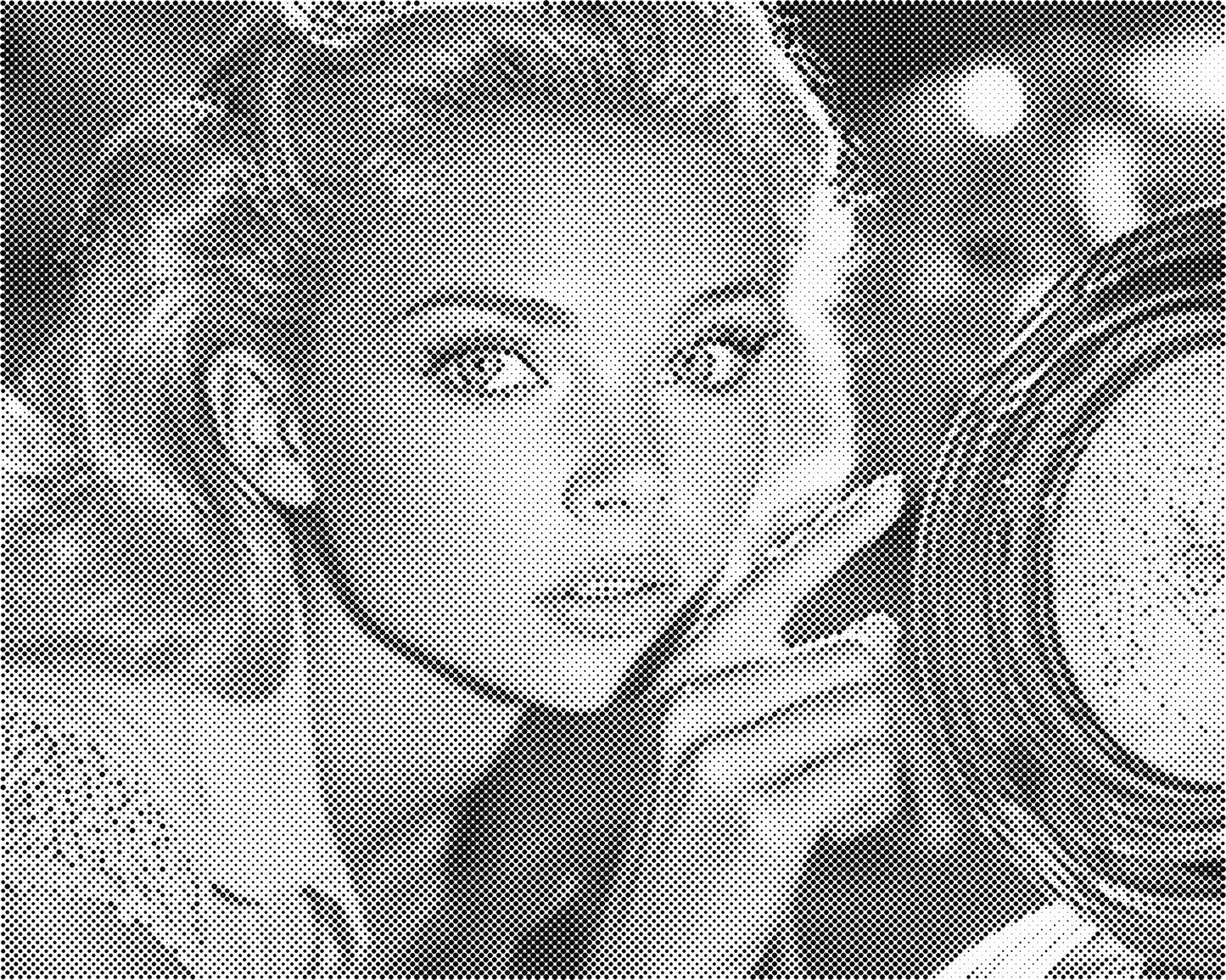 DOT Painting Portret – Stippenkunst op Canvas (40x50cm of 60x75cm)