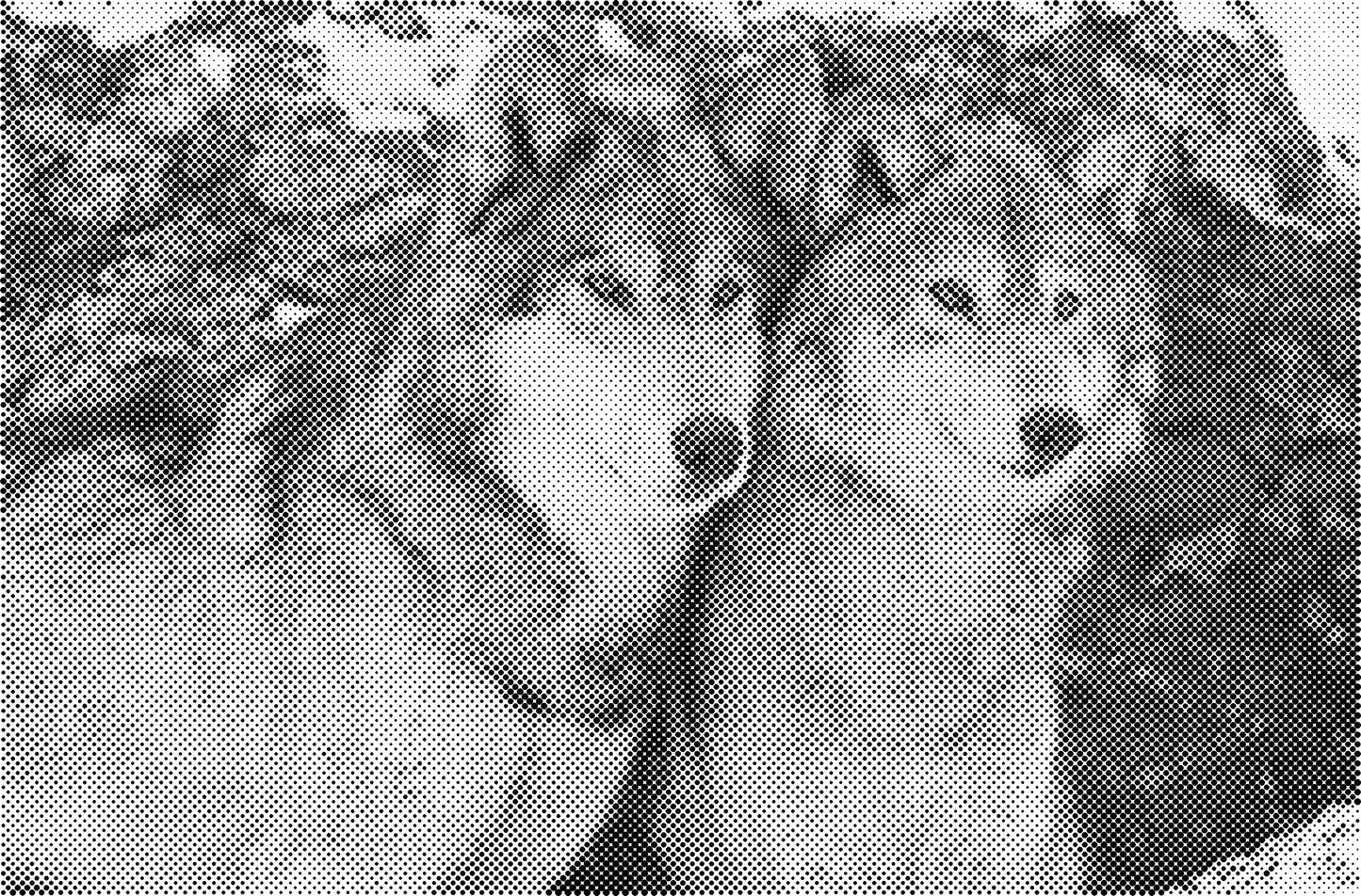 DOT Painting - Wolven en Honden