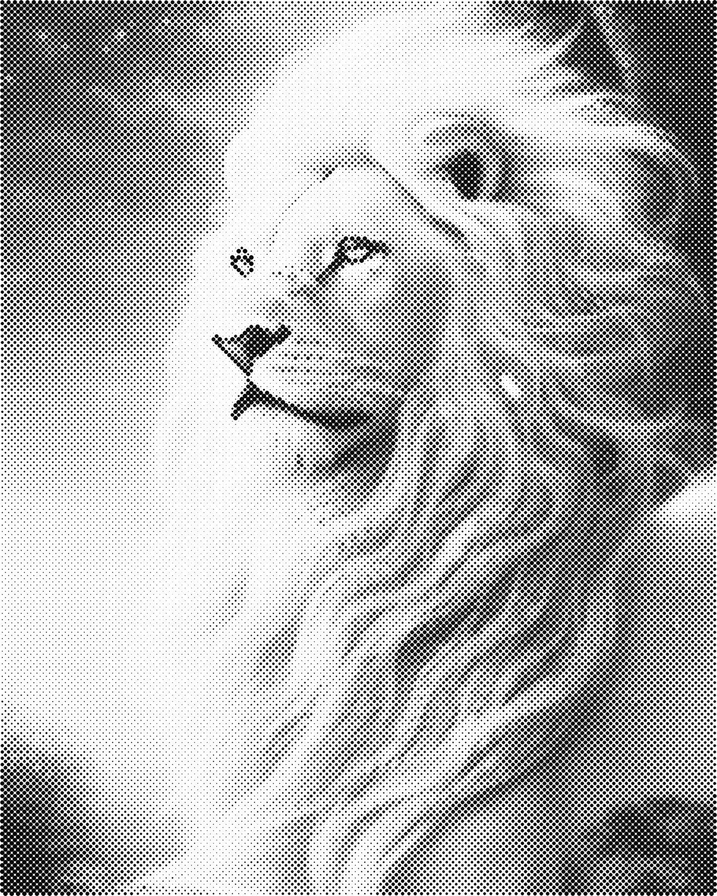 DOT Painting - Dieren op Canvas (40x50cm / 60x75cm)