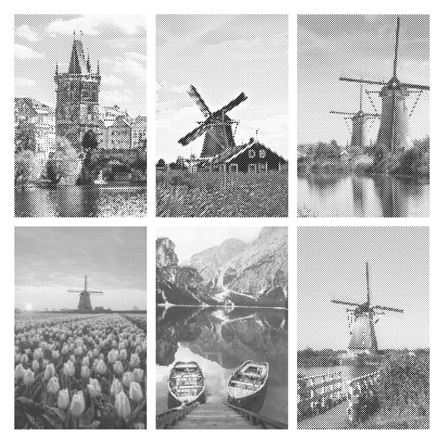 DOT Painting 40x60cm Landschap - Hollandse Molens en Tulpenvelden