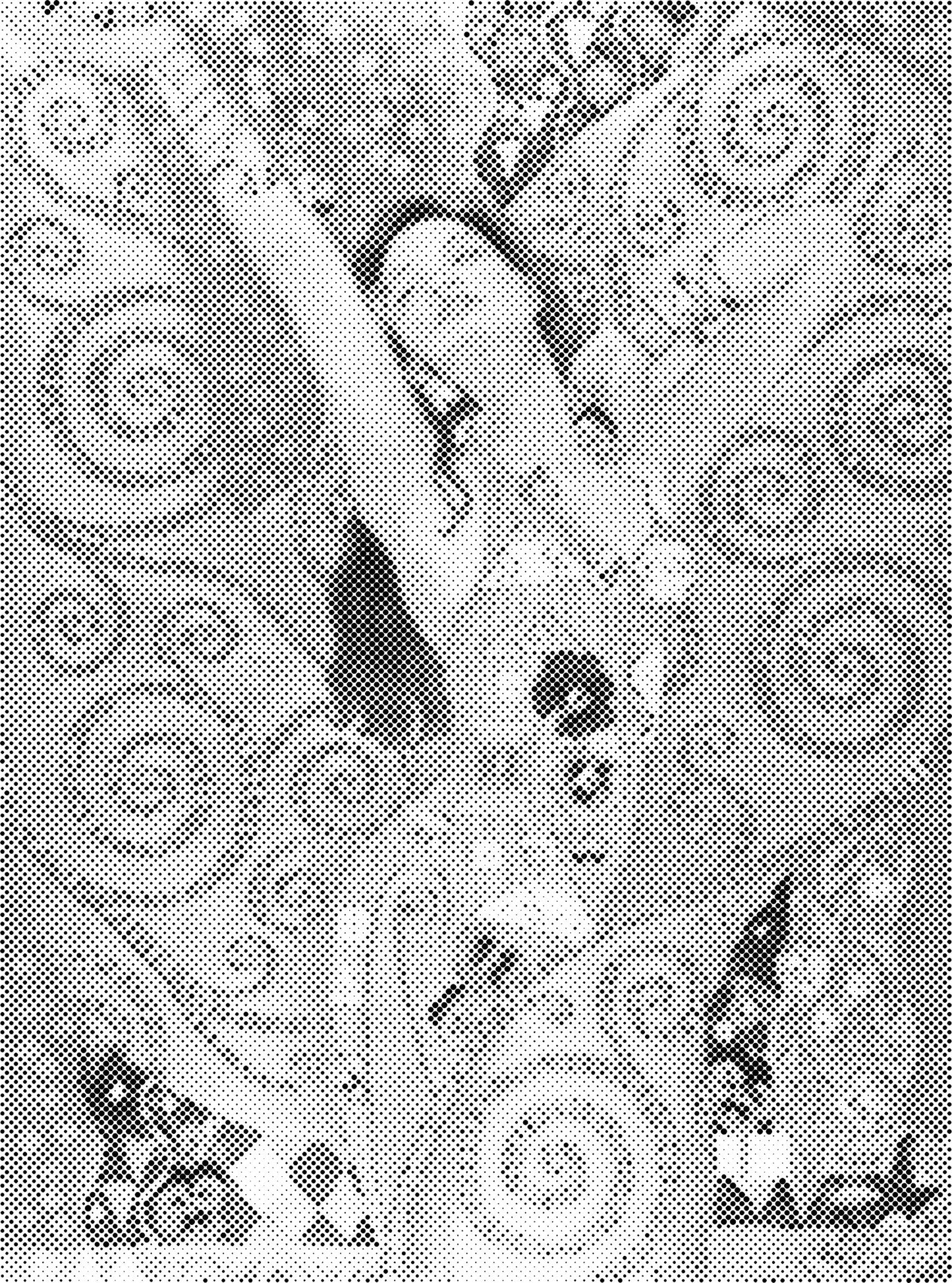 DOT Painting 30x40cm - Abstracte Stippelkunst in Één Kleur