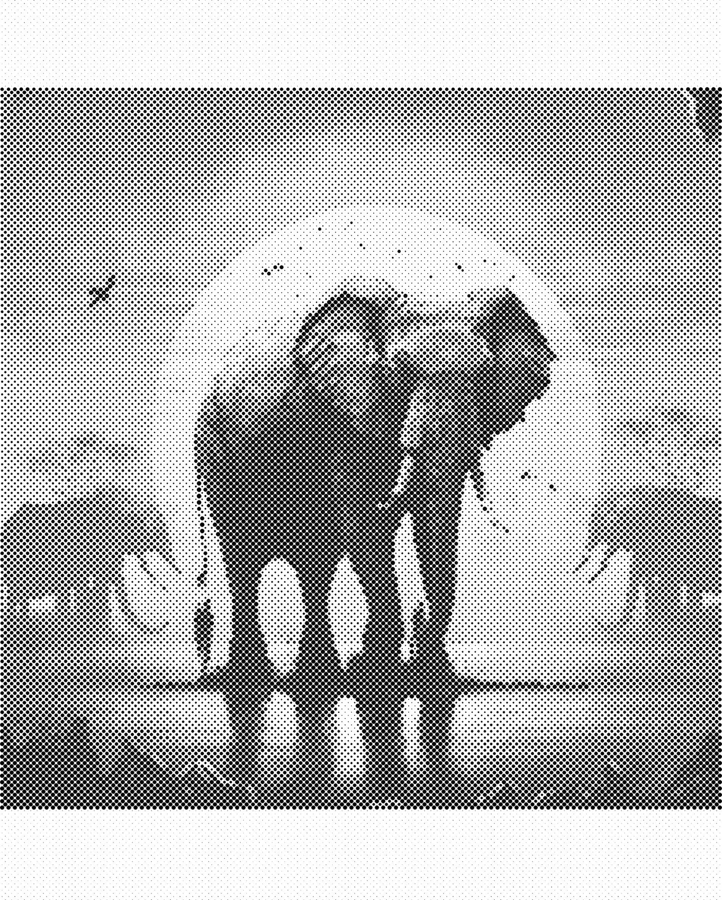 DOT Painting 40x50cm - Olifanten Design