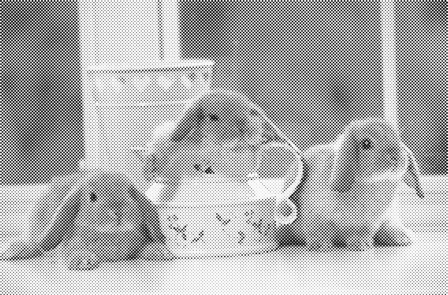 DOT Painting Dieren - Konijnen, Puppies en Katten - Verkrijgbaar in 40x60cm, 50x75cm en 60x90cm