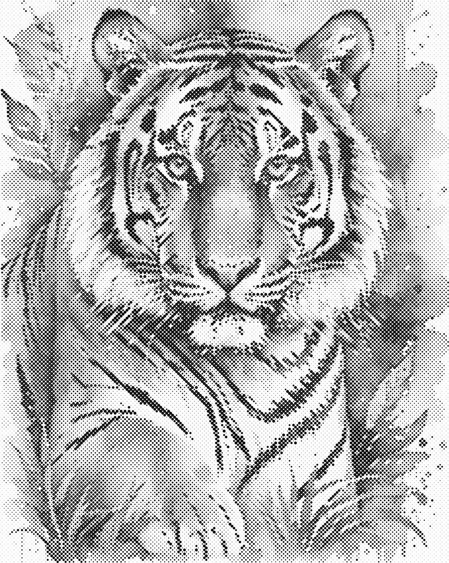 DOT Painting – Dieren op Canvas (40x50cm of 60x75cm) – Met of zonder stiften