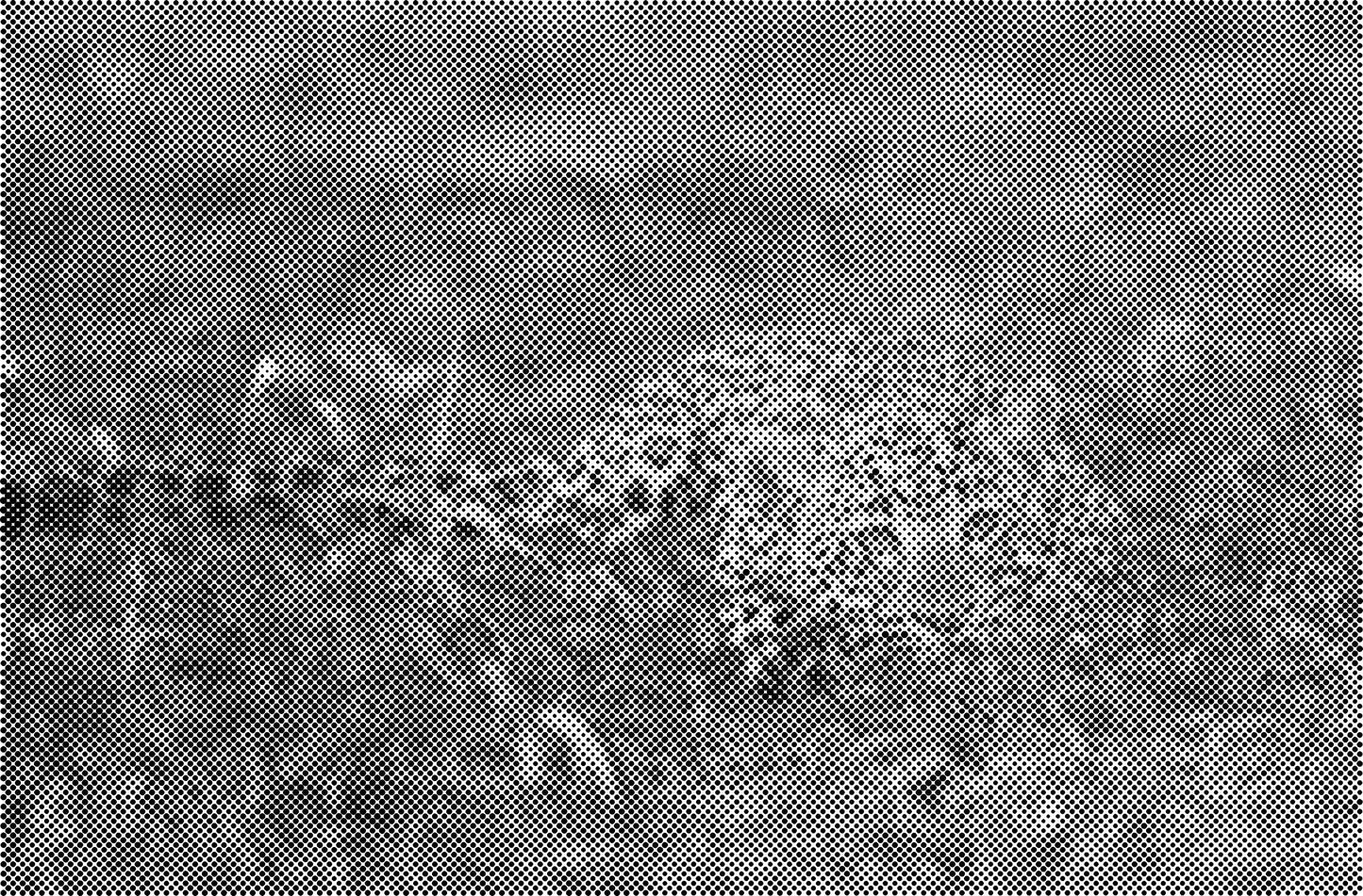 DOT Painting Big Cats - Leeuw, Tijger en Luipaard