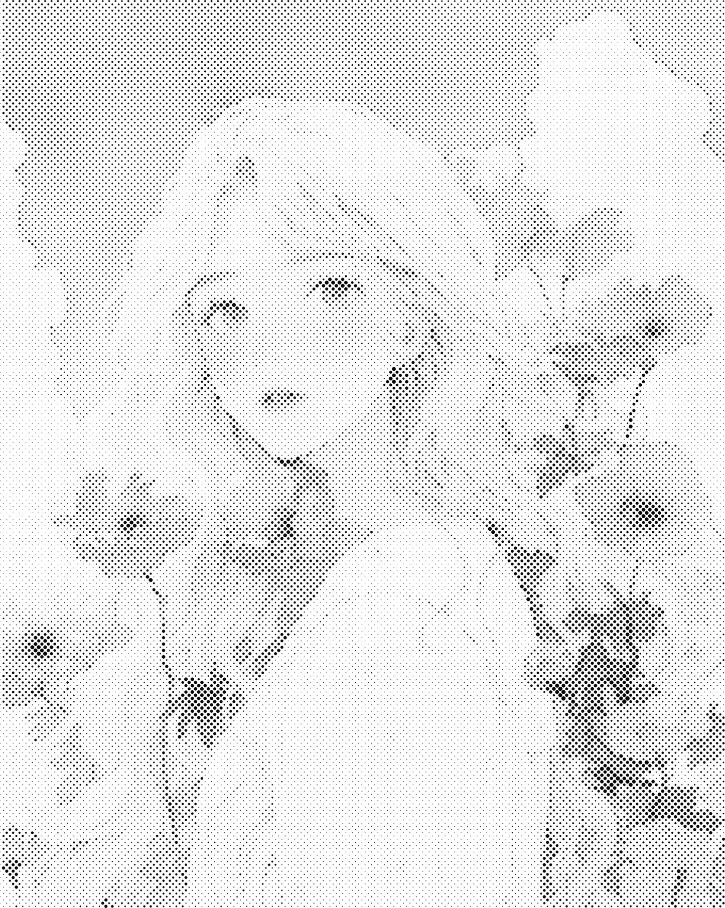 DOT Painting – Vrouwen | 40x50cm of 60x75cm