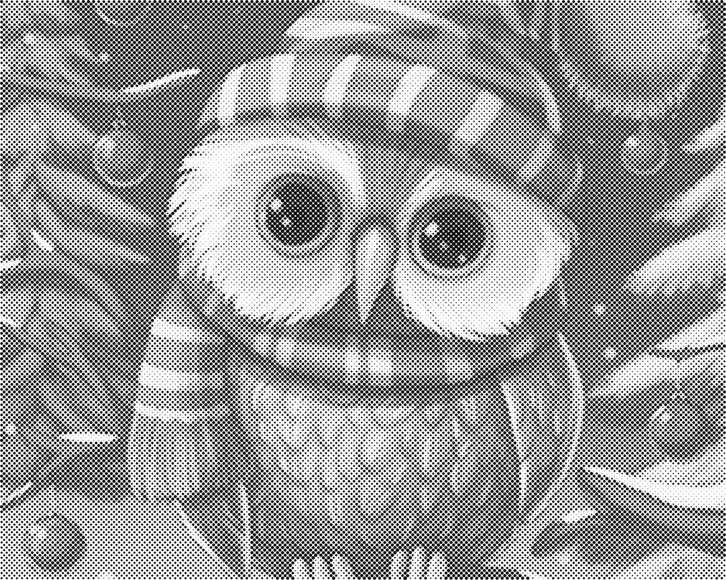 DOT Painting - Dieren op Canvas (40x50cm / 60x75cm)