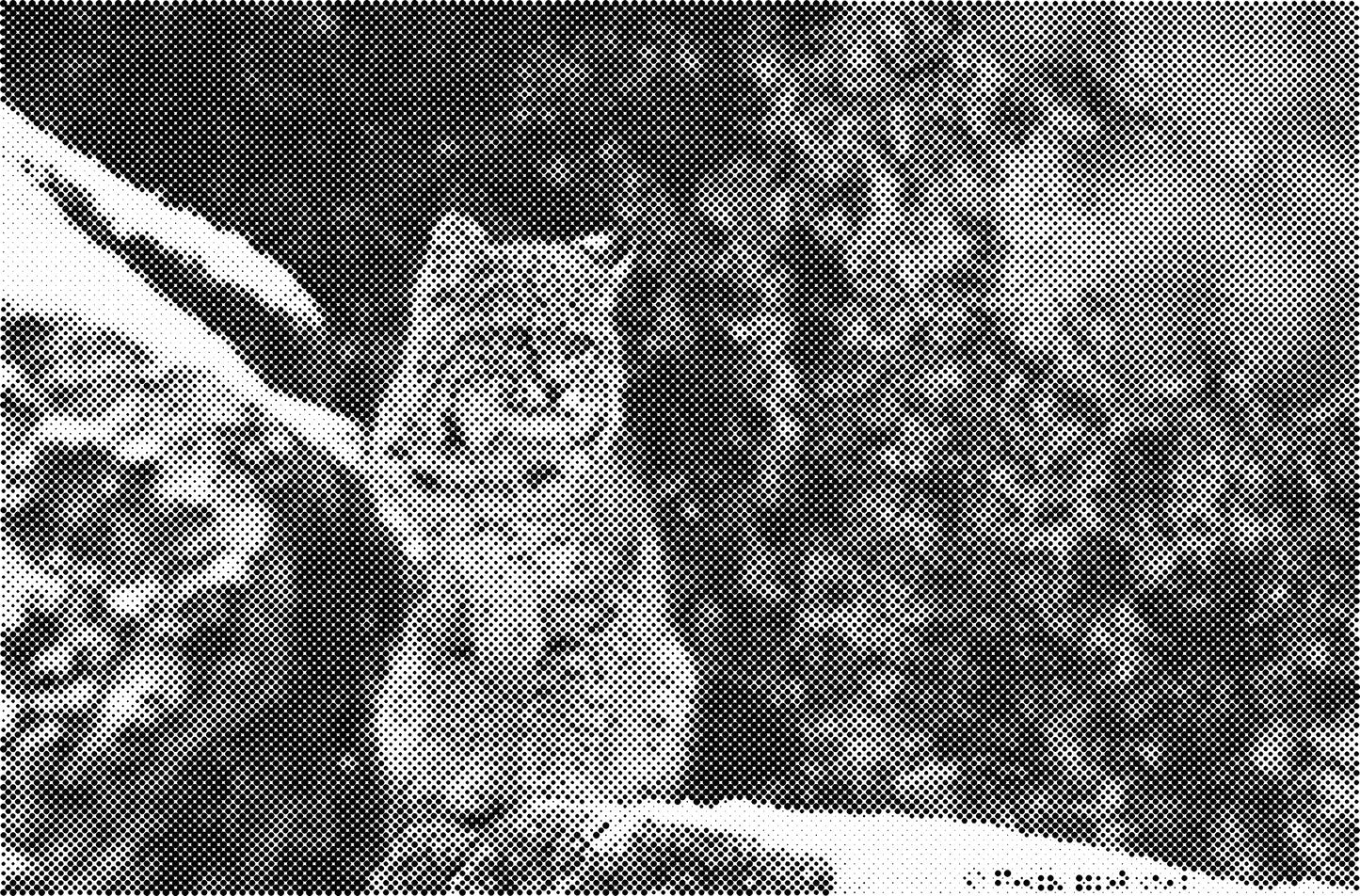 DOT Painting Big Cats - Leeuw, Tijger en Luipaard