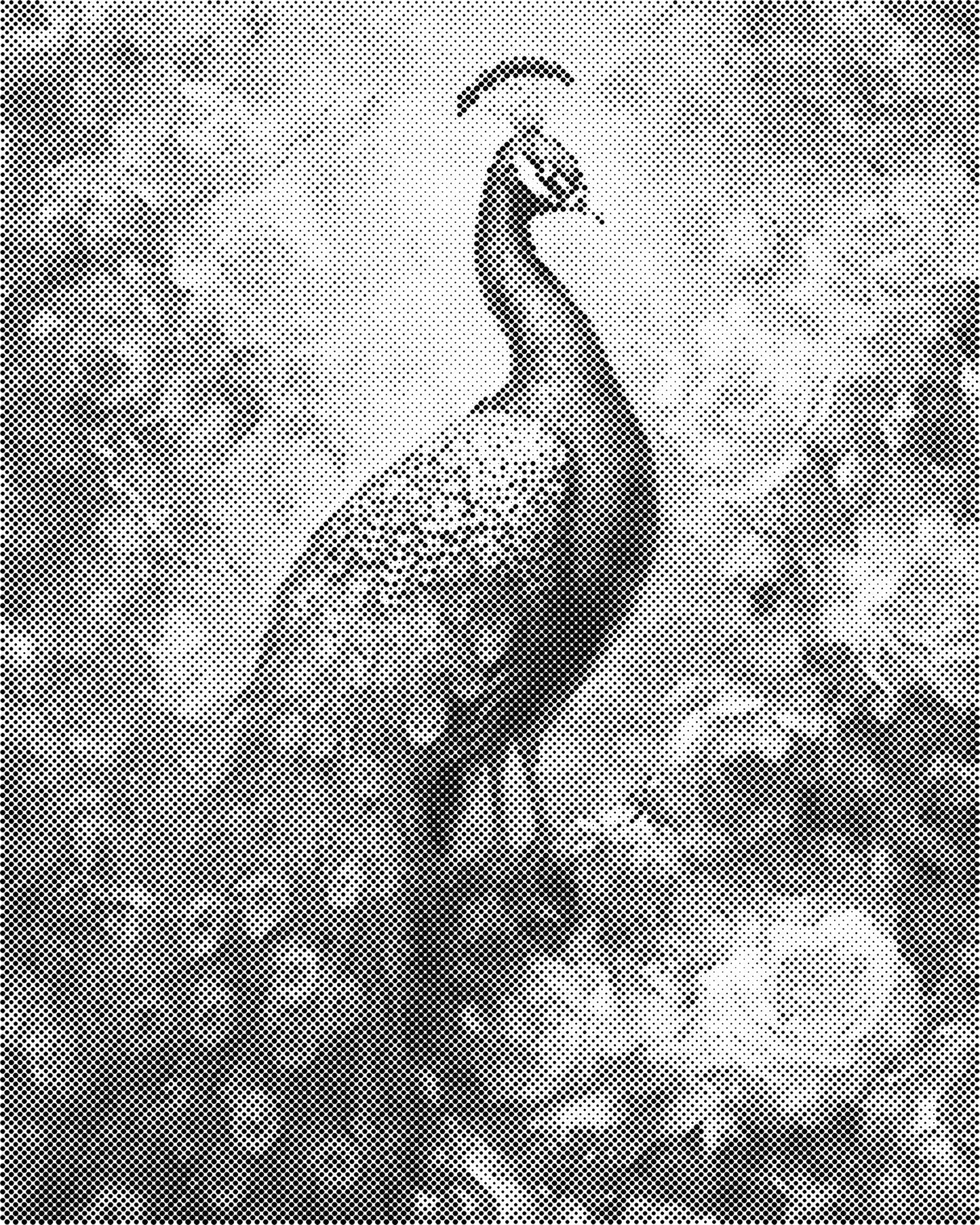 DOT Painting – Dieren op Canvas (40x50cm of 60x75cm) – Met of zonder stiften