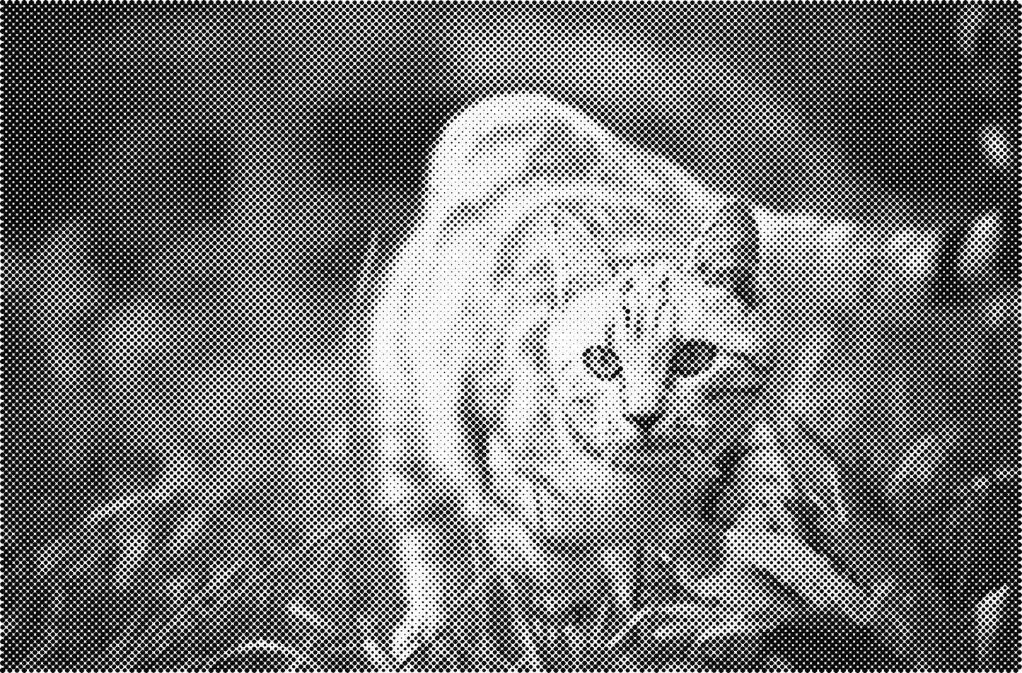 DOT Painting Kattenrassen