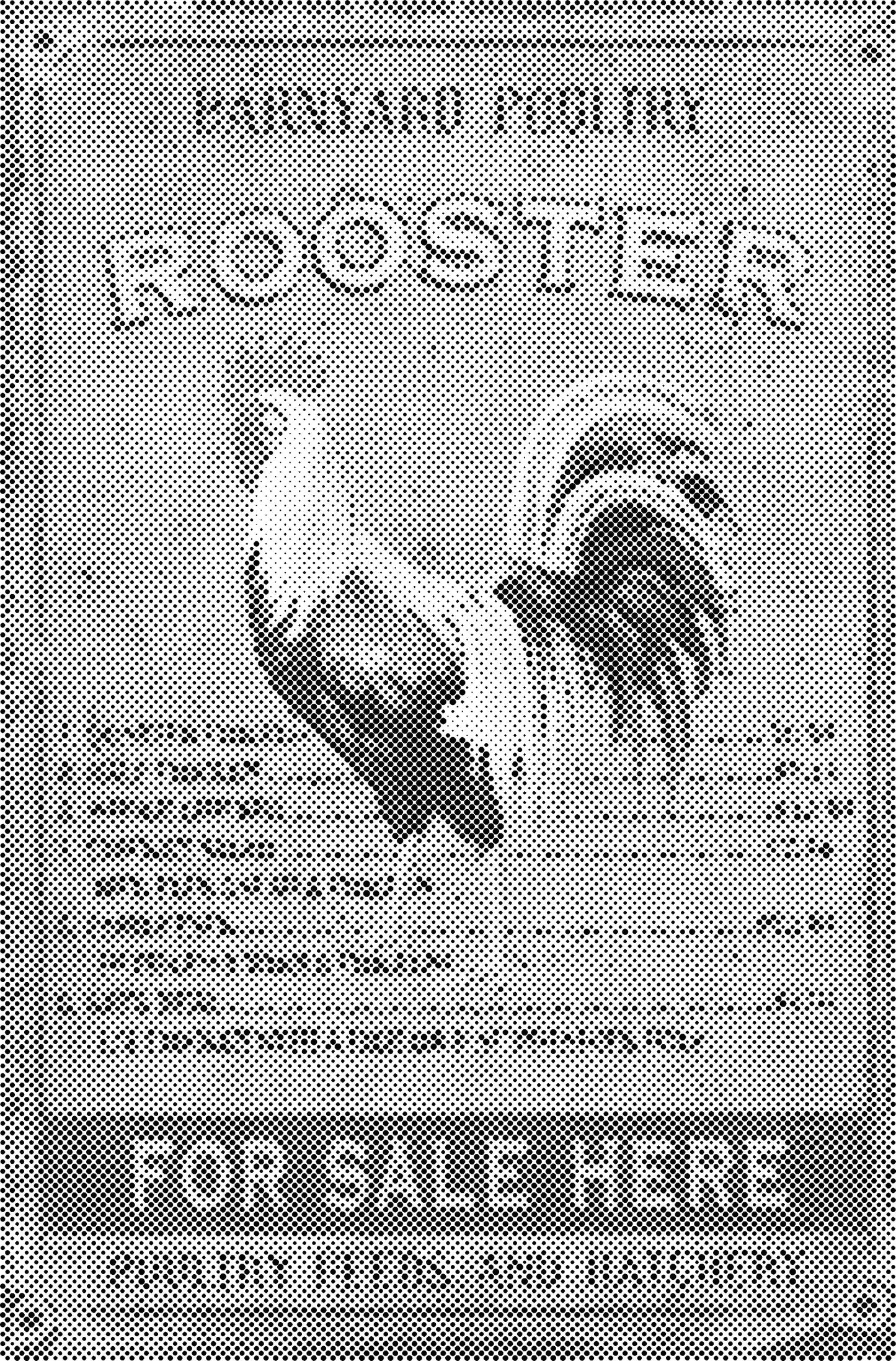 DOT Painting – Kippen & Hanen – 40x60cm t/m 60x90cm – Met of zonder stiften