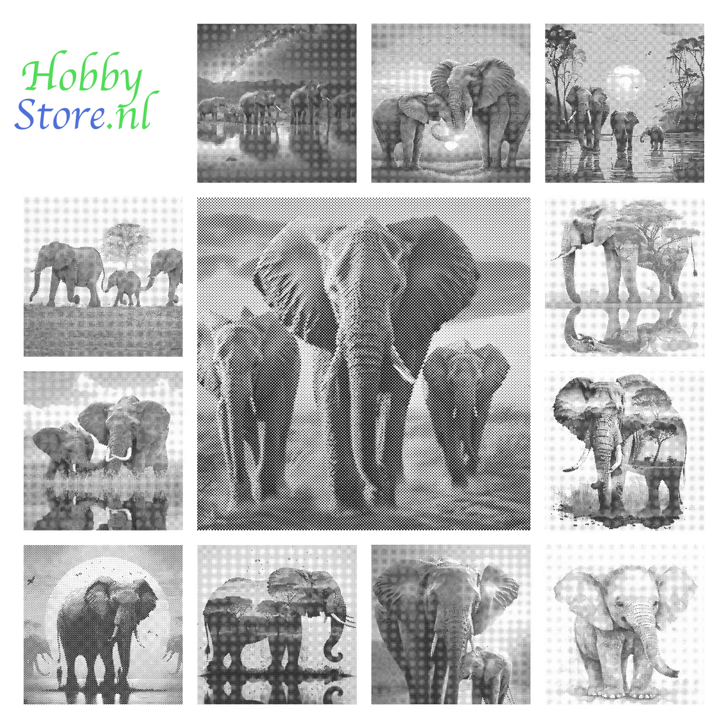 DOT Painting 40x50cm - Olifanten Design