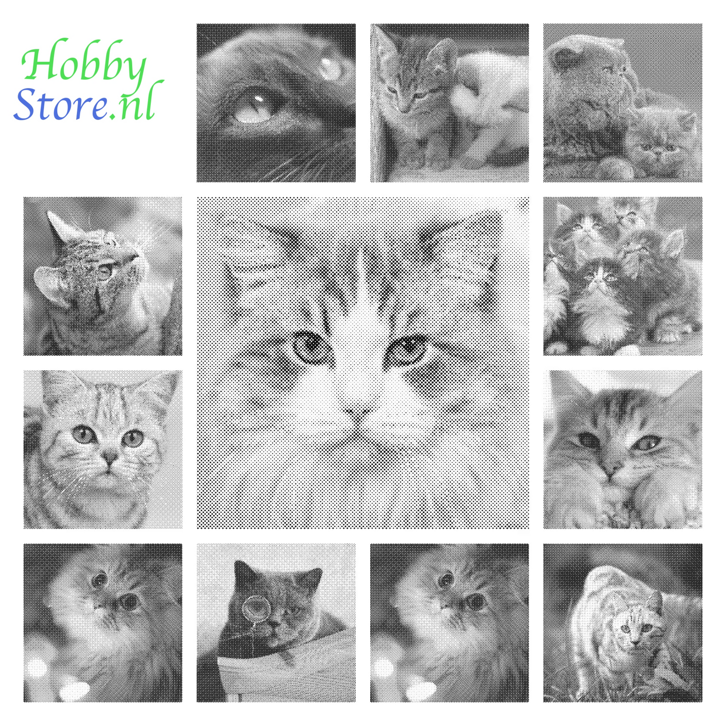 DOT Painting Kattenrassen