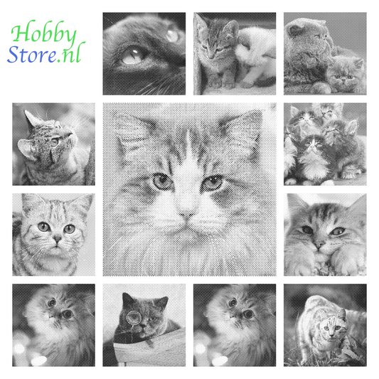 DOT Painting Kattenrassen