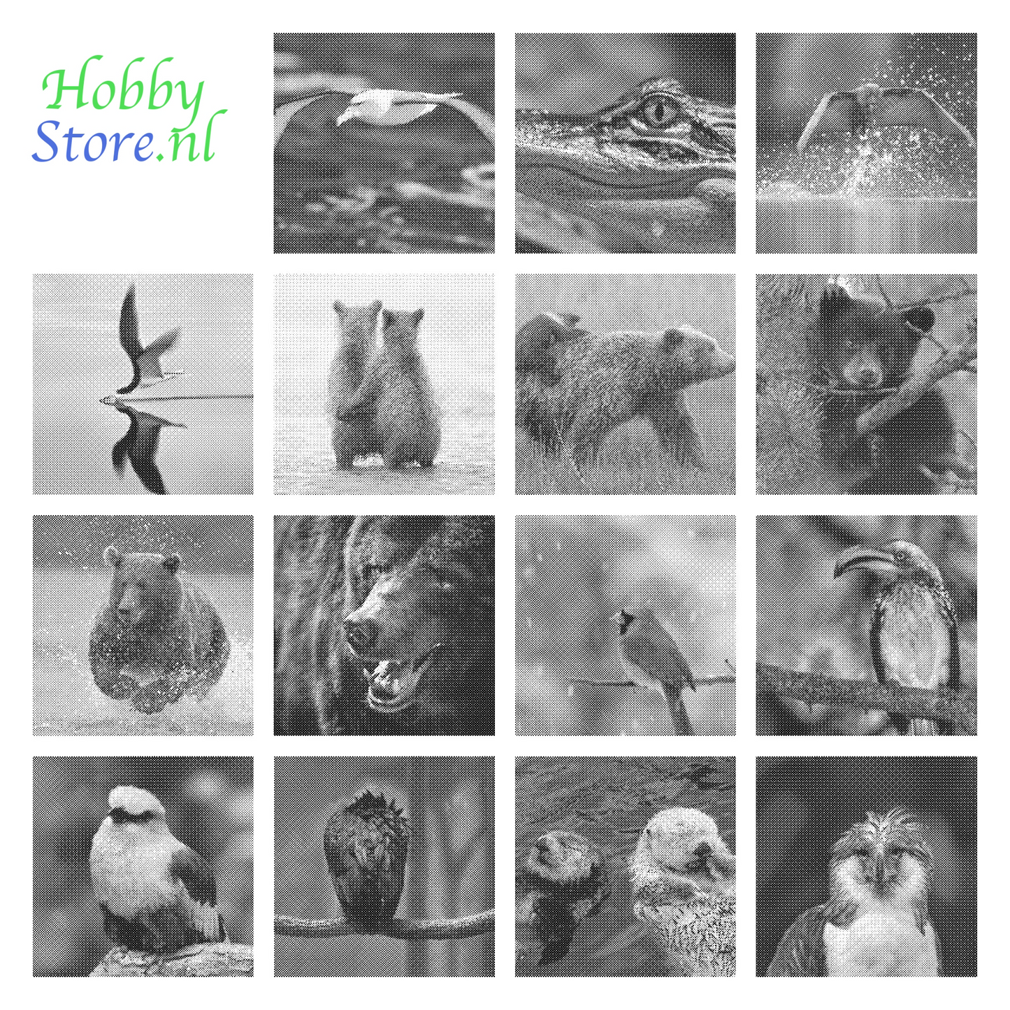 DOT Painting Dieren - Beren en Vogels - Verkrijgbaar in 40x60cm, 50x75cm en 60x90cm