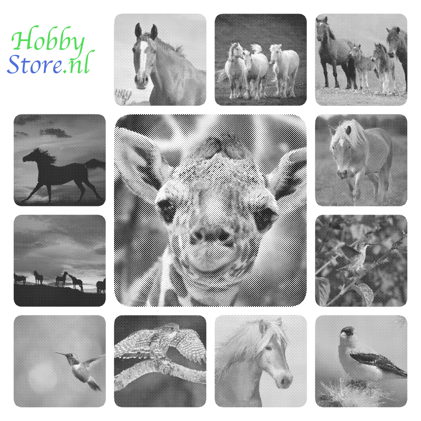 DOT Painting Dieren - (Paarden, Giraf, Vogels) - Verkrijgbaar in 40x60cm, 50x75cm, 60x90cm